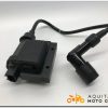 BOBINE D'ALLUMAGE PEUGEOT SATELIS 125 2006