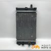 RADIATEUR D'EAU QUADRO 3D 350 2012