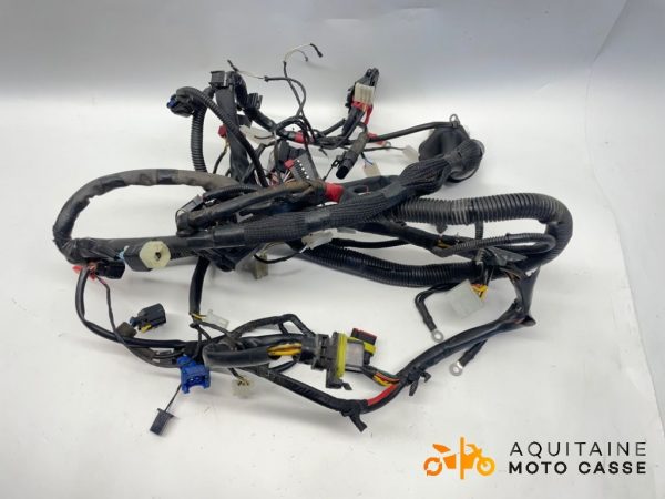 FAISCEAU PIAGGIO ZIP 50 4 T 2018