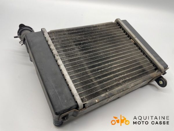 RADIATEUR D'EAU DAELIM ROADWIN 2008