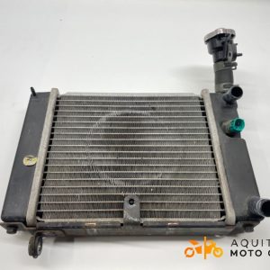 RADIATEUR D’EAU DAELIM ROADWIN 2008