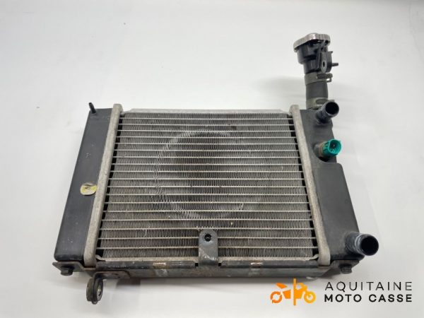 RADIATEUR D'EAU DAELIM ROADWIN 2008