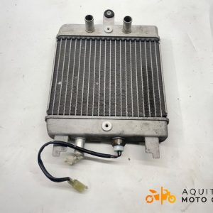 RADIATEUR D’EAU SUZUKI BURGMAN 125 2007