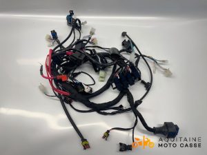 FAISCEAU ORCAL SK 125 2023