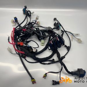 FAISCEAU ORCAL SK 125 2023