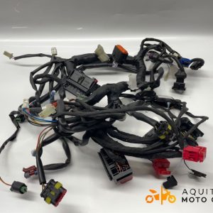 FAISCEAU FANTIC MOTOR CABALLERO 500 2024