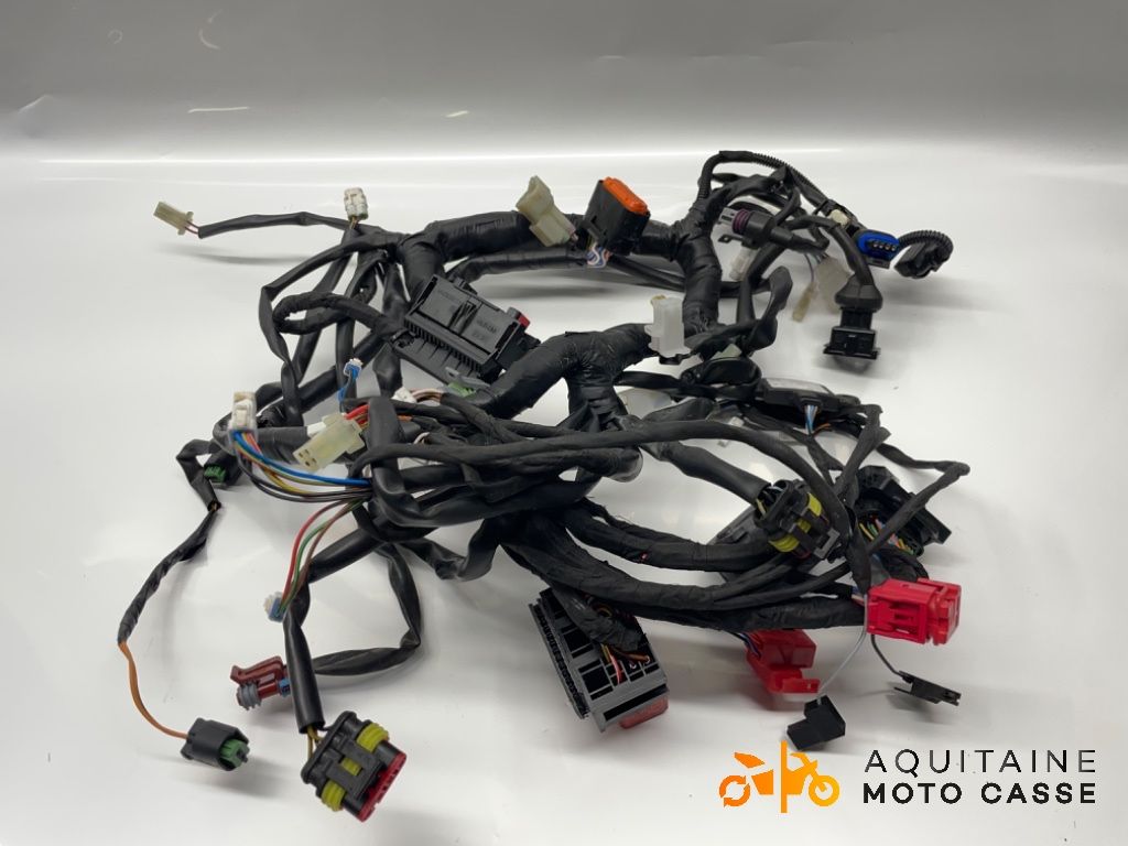 FAISCEAU FANTIC MOTOR CABALLERO 500 2024