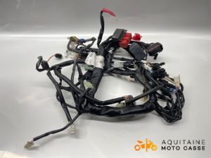 FAISCEAU FANTIC MOTOR CABALLERO 500 2024