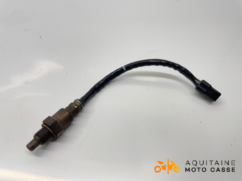 SONDE LAMBDA FANTIC MOTOR CABALLERO 500 2024