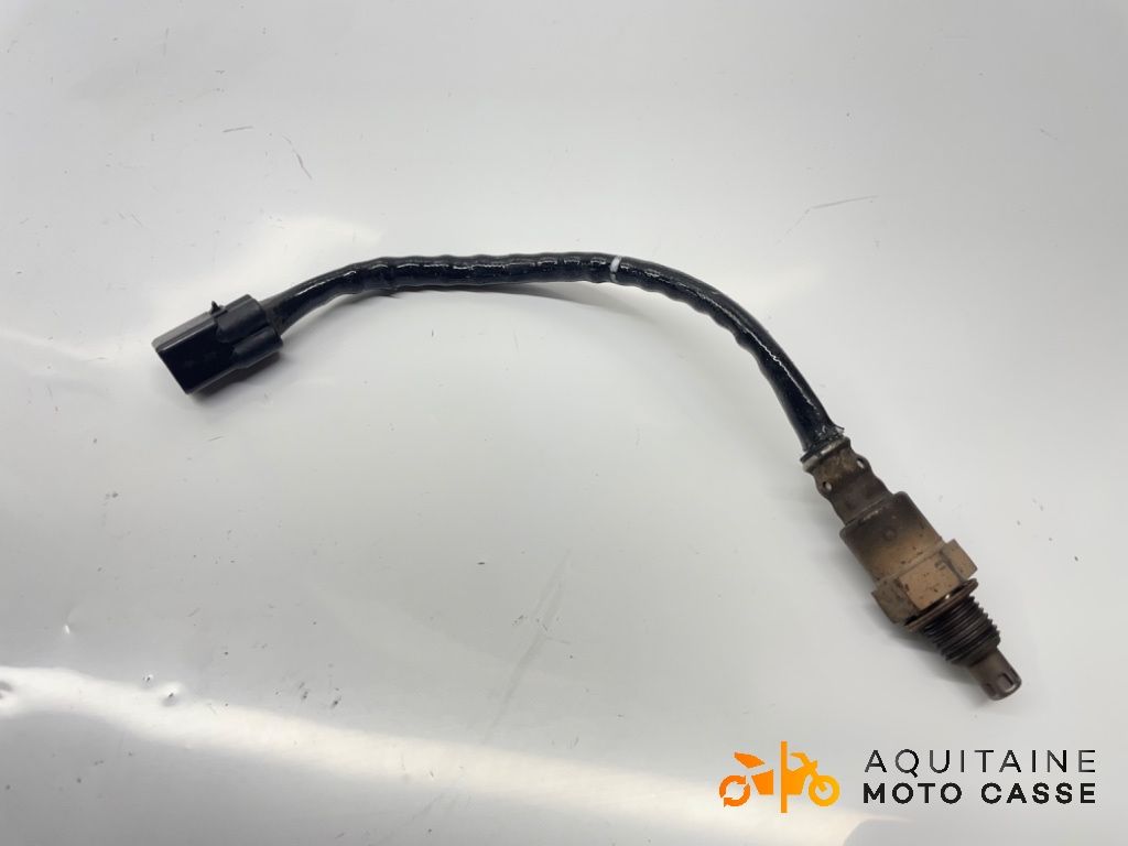 SONDE LAMBDA FANTIC MOTOR CABALLERO 500 2024