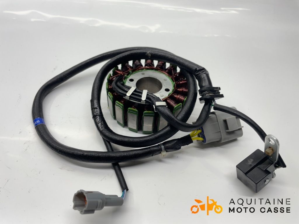 STATOR FANTIC MOTOR CABALLERO 500 2024