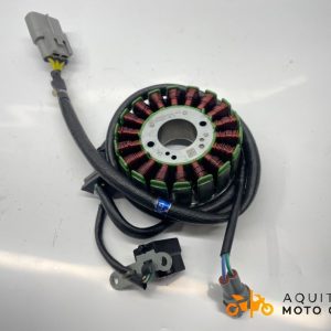 STATOR FANTIC MOTOR CABALLERO 500 2024