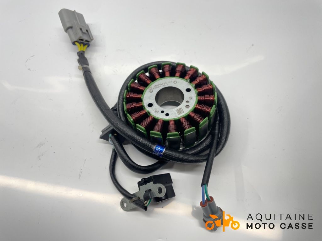 STATOR FANTIC MOTOR CABALLERO 500 2024