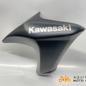 ÉCOPE DE RADIATEUR DROIT KAWASAKI ER 6 N 2015