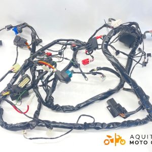 FAISCEAU APRILIA SXR 50 2024