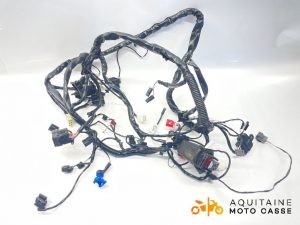 FAISCEAU APRILIA SXR 50 2024