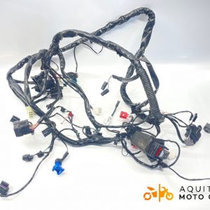 FAISCEAU APRILIA SXR 50 2024