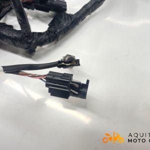 FAISCEAU KAWASAKI ER 6 N 2015