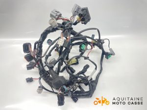 FAISCEAU KAWASAKI ER 6 N 2015