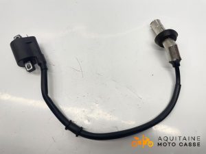 BOBINE D'ALLUMAGE JM MOTORS R MAX 50 2024