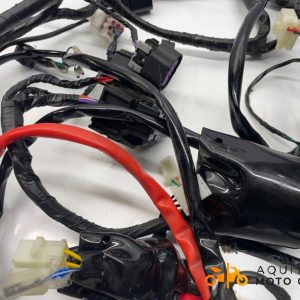 FAISCEAU JM MOTORS R MAX 50 2024