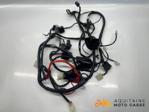 FAISCEAU JM MOTORS R MAX 50 2024