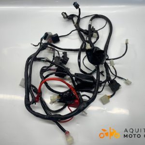 FAISCEAU JM MOTORS R MAX 50 2024