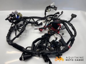 FAISCEAU YAMAHA MT 09 SP 2023