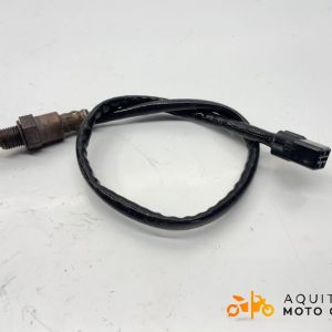 SONDE LAMBDA YAMAHA MT 09 SP 2023