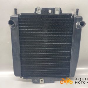 RADIATEUR D&rsquo;EAU PIAGGIO MP3 400 LT 2009