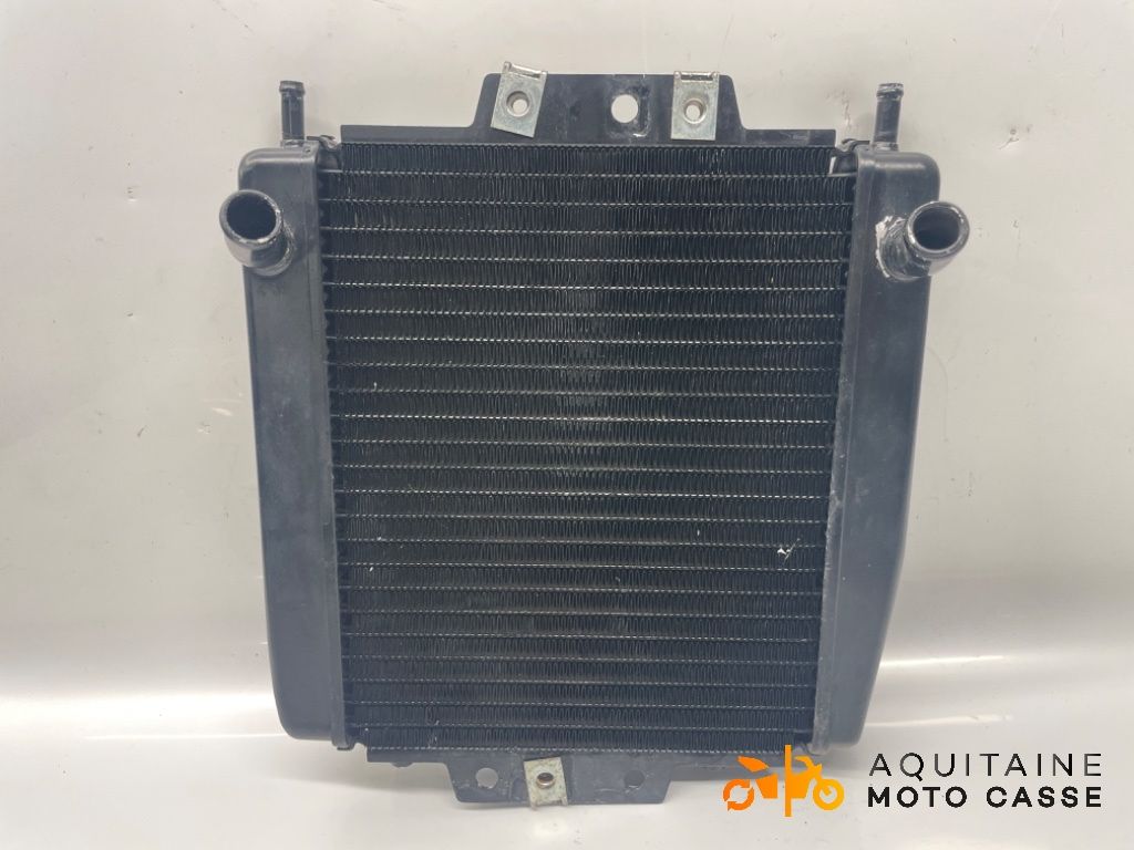 RADIATEUR D'EAU PIAGGIO MP3 400 LT 2009